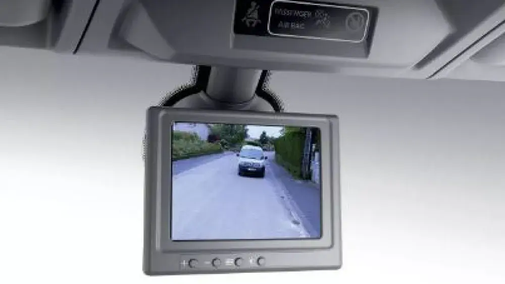 Rear view assist
